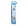 SPONGIA TOSTA CH9 granule 4 g