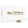 FEMINUS 60 tabliet