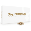 FEMINUS 60 tabliet