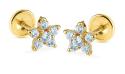 Brilio Zlaté hviezdičkové náušnice so syntetickým akvamarínom 14/188.961/17AM-S