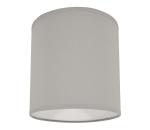 Stropné svietidlo 1xE27/40W/230V šedá D-9038