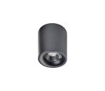 Azzardo  - LED Stropné svietidlo MANE 1xLED/10W/230V