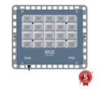 APLED - LED Vonkajší reflektor PRO LED/50W/230V IP66 5000lm 6000K 190-0151