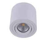 Emithor  - Stropné bodové svietidlo SURFACE 1xGU10/50W/230V