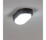 Brilagi - LED Stropné priemyselné svietidlo SIMA LED/12W/230V IP65 čierna PD-S30124-00