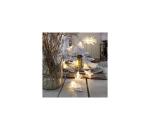 Eglo 411108 - LED Vianočná reťaz CLIPPY 10xLED 2,1m teplá biela 729-12