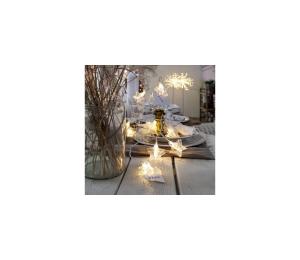 Eglo 411108 - LED Vianočná reťaz CLIPPY 10xLED 2,1m teplá biela 729-12