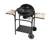 Prenosný gril na drevené uhlie čierna/drevo 13033