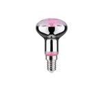 LED Žiarovka na rast rastlín GROW ZELENÁ R50 E14/4W/230V - Paulmann 28734 28734