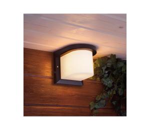 Vonkajšie nástenné svietidlo PETUNIA 1xE27/60W/230V IP44 antracit SKU009148