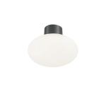 Ideal Lux - Vonkajšie stropné svietidlo CLIO 1xE27/42W/230V IP44 antracit 148861