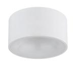 Globo 56964W - LED stropné svietidlo RAYMOND LED/12W/230V 3000K priemer 15 cm biele 56964W