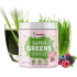 BLENDEA Supergreens prášok s príchuťou lesná zmes 90 g