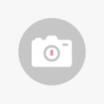 Muuto závesné svietidlo Ambit, Ø 16,5 cm, prašnozelená