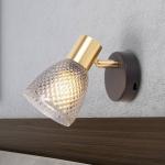 Nástenné svetlo Lindita, sklo, dymovo šedé, E14, otočné