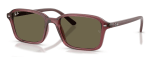 Ray-Ban RJ9131S 7197/3 -  (50-17-130)