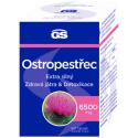 GS Ostropestrec 60 tabliet