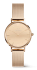 DANIEL WELLINGTON DW00100795