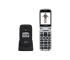 Evolveo - EasyPhone FS, výklopný mobilný telefón 2.8", čierny EP-771-FSB