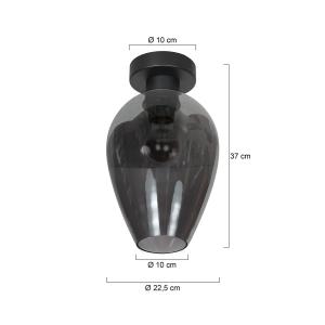 Stropné svietidlo Bloeba, čierna/dymovo sivá, Ø 22 cm, sklenená kvapka