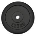 Závažie oceľové 1,25kg - lakované
