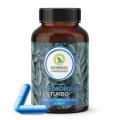 Moringa Caribbean Blue Turbo 120 kapsúl