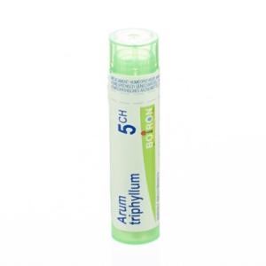 ARUM TRIPHYLLUM 5CH granule 4 g