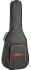 WALDEN Nylon String Guitar, solid Top, Satin finish, Gigbag