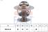 FACET Termostat chladenia 78394S