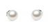 DANIEL WELLINGTON DW00401954