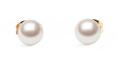 DANIEL WELLINGTON DW00401956