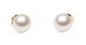 DANIEL WELLINGTON DW00401956