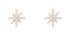 DANIEL WELLINGTON DW00401612