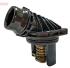 DENSO Termostat chladenia DTM851813