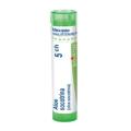 ALOE SOCOTRINA CH5 granule 4 g