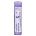 AURUM MURIATICUM NATRONATUM CH30 granule 4 g