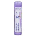 AURUM MURIATICUM NATRONATUM CH30 granule 4 g