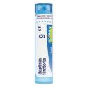 BAPTISIA TINCTORIA CH9 granule 4 g