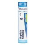 BAPTISIA TINCTORIA CH9 granule 4 g