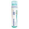 BELLADONNA 200CH granule 4 g