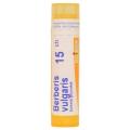 BERBERIS VULGARIS CH15 granule 4 g