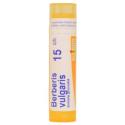 BERBERIS VULGARIS CH15 granule 4 g