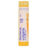 BERBERIS VULGARIS CH15 granule 4 g