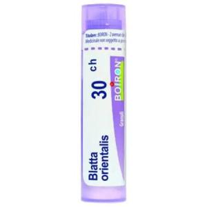 BLATTA ORIENTALIS CH30 granule 4 g