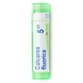 CALCAREA FLUORICA CH5 granule 4 g