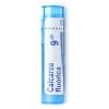 CALCAREA FLUORICA CH9 granule 4 g