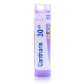 CANTHARIS 30CH granule 4 g
