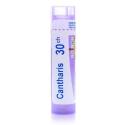 CANTHARIS 30CH granule 4 g