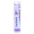 CANTHARIS 30CH granule 4 g