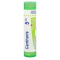 CANTHARIS 5CH granule 4 g